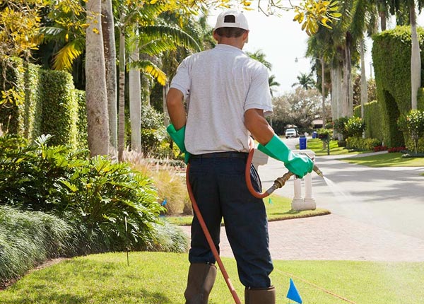 About Sydney FL Pest Control
